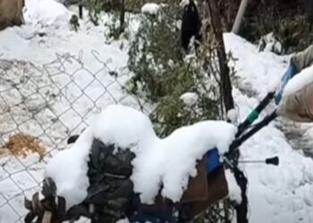 अक्टूबर के पहले हफ्ते ही बर्फबारी ने दी दस्तक, शीतलहर का प्रकोप बढ़ा