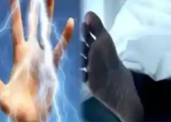 पांवटा साहिब :  बिजली के पोल पर कार्य करते समय व्यक्ति की करंट लगने से दर्दनाक मौत , बिजली बोर्ड के अधिकारियों कर्मचारियों के खिलाफ मामला दर्ज