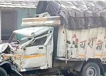 श्रद्धालुओं से भरी पिकअप पेड़ से टकराई, महिला की थमी सांसें; 13 हुए घायल
