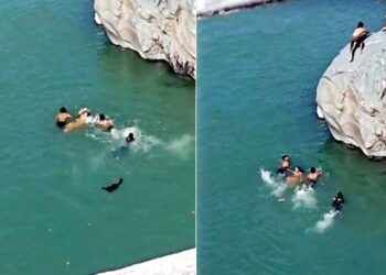 Reel बनाने के चक्कर में नदी में जा गिरी युवती, फिर फरिश्ता बनकर पहुंचे युवक और बचा ली जान