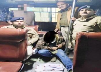 रोहड़ू ISBT में निजी बस परिचालक 128 ग्राम अफीम के साथ गिरफ्तार