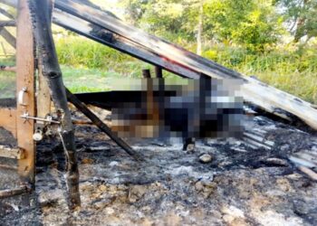 भीषण अग्निकांड: गऊशाला में जिंदा जल गई गाभिन गाय, मंजर देख सिहर उठे लाेग