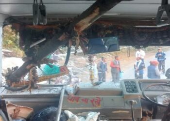 Himachal : सवारियों से भरी HRTC बस पर गिरा विशाल पेड़, मची चीख पुकार