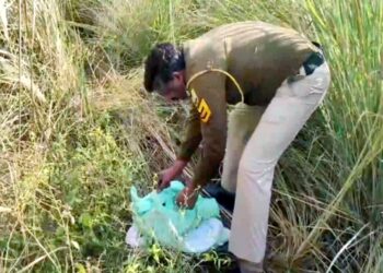कलयुगी मां की करतूत! ऊना में झाड़ियों में इस हाल में मिला नवजात, पुलिस जांच में जुटी