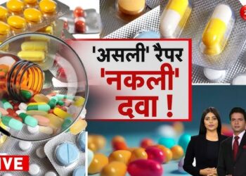 पांवटा साहिब : फैक्ट्री में नकली दवाइयां बनाकर सप्लाई का आरोपी गिरफ्तार