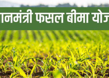 प्रधानमंत्री फसल बीमा योजना के अंतर्गत फसलों का बीमा करने की तारीख बढी, 15 जनवरी तक करा सकेंगे बीमा