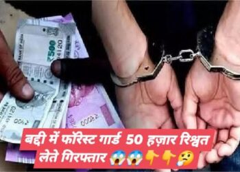 Himachal: 50 हजार रुपए रिश्वत लेते फोरैस्ट गार्ड रंगे हाथों गिरफ्तार किया