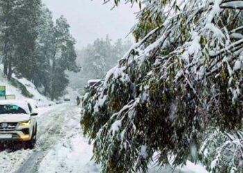 कोहरे का अलर्ट जारी, इन इलाकों में बारिश और हिमपात की संभावना