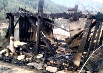 भीषण अग्निकांड: मंडी के इस गांव में फटा गैस सिलैंडर, परिवार काे लाखाें रुपए का नुक्सान