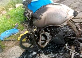 ”पटाखे” जैसी आवाज सुनकर घर से बाहर भागा परिवार, आंगन का नजारा देख उड़ गए होश