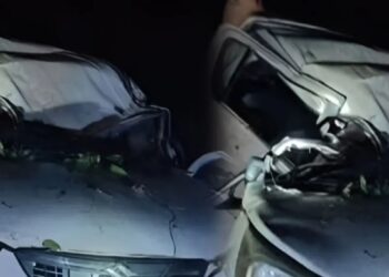 पेड़ से टकराई कार, नवविवाहिता का उजड़ा सुहाग- दो सगे भाइयों समेत 3 थे सवार