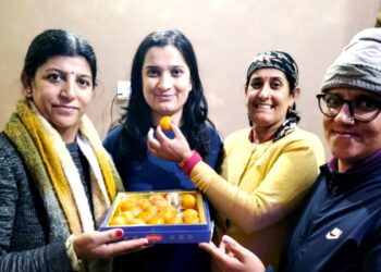 3 बार मिली असफलता, फिर भी नहीं टूटी हिम्मत…अब 20वां रैंक हासिल कर ‘डिस्ट्रिक्ट कंट्रोलर’ बनीं हरिपुरधार की शीतल