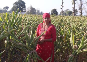 प्राकृतिक खेती खुशहाल किसान योजना