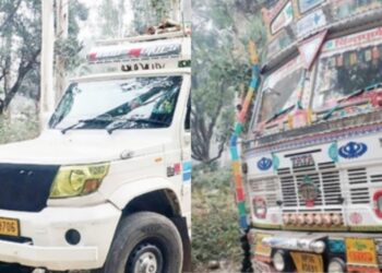 अवैध लकड़ी से लदी 4 गाड़ियां जब्त