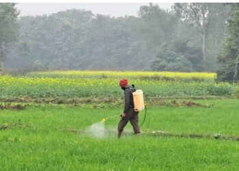 प्रदेश सरकार के सभी किसानों एवं बागवानों के लिए फार्मर आईडी बनवाना अनिवार्य