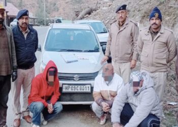 कोटखाई में पुलिस ने 31.46 ग्राम चिट्टे के साथ 3 तस्कर धरे