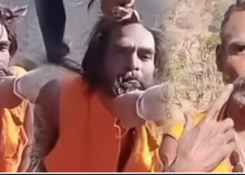 सिरमौर में नागा साधु का अपमान! उप-प्रधान ने जबरन काटी जटाएं और दाढ़ी, तीन पर FIR