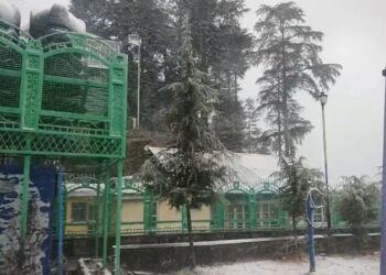 शिमला की ऊंची चोटियों पर सीजन की पहली बर्फबारी, सफर करने से पहले पढ़ लें ये खबर