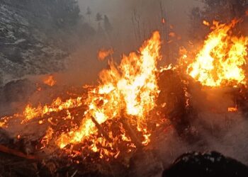 हिमाचल में आग का तांडव: धू-धू कर जली गौशाला, मची अफरा-तफ