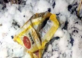 बर्फ के बीच बह रही नहर में मिला भ्रूण, गांव वालों का फूटा गुस्सा- मां को तलाश रही पुलिस