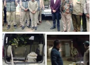 पांवटा साहिब : वन विभाग  ने  दुर्लभ प्रजाति के जंगली जानवर का शिकार करने वाले  शिकारी को किया गिरफ्तार
