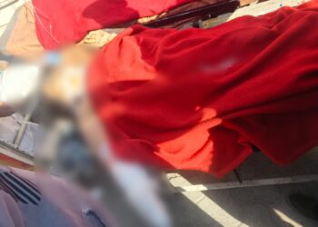 पांवटा साहिब : हादसे में घायल महिला की मौत, ट्रक से हुआ था एक्सीडेंट