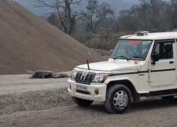 पांवटा साहिब : क्रेशर पर युवक का शव बरामद, भाई ने जताया हत्या का शक