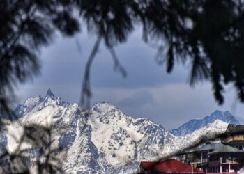 Shimla: जब-जब प्रदेश को जरूरत पड़ी, भाजपा हमेशा ही अपनी जिम्मेदारी से भागी