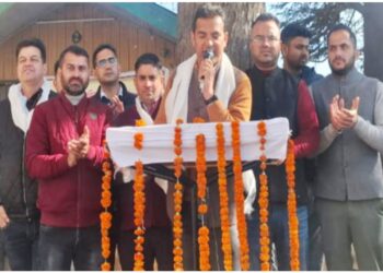 Shimla: मुश्किल की घड़ी में सरकार के साथ कंधे से कंधा मिलाकर खड़े कर्मचारी