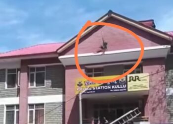 कुल्लू में सनसनी: पुलिस थाने की छत से महिला ने लगाई छलांग