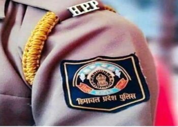 Shimla: नशा तस्करी के विरुद्ध हिमाचल पुलिस की 145 स्थानों पर दबिश, लाखों का नशा बरामद