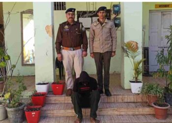 Solan: चोरी मामले में चंद घंटों के भीतर धरा आरोपी, CCTV फुटेज और तकनीकी साक्ष्यों के आधार पर सोलन पुलिस ने की त्वरित कार्रवाई