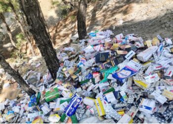 Solan: बसाल पंचायत के जंगल में फैंक दीं बड़ी मात्रा में एक्सपायरी दवाएं