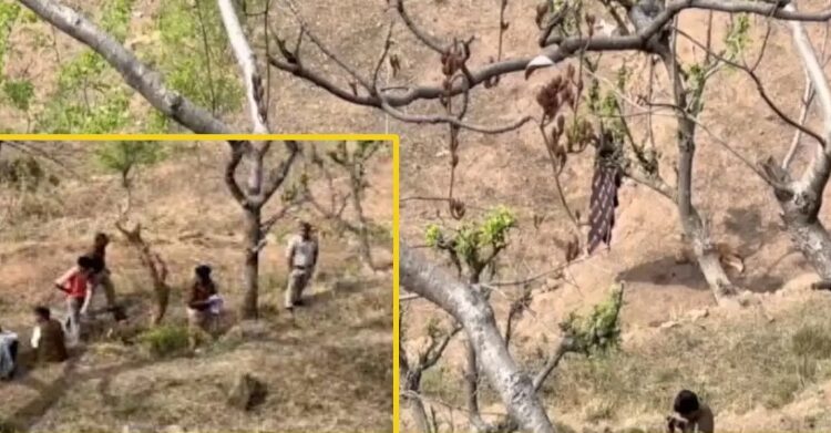 हिमाचल में शख्स की बेरहमी से ह*त्या: कु.ल्हाड़ी के वार से अलग कर दी गर्दन; आरोपी फरार