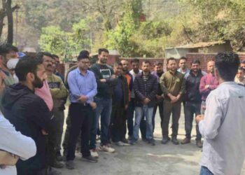 पेड़ कटान मामला : सस्पेंड हुए वन कर्मियों के समर्थन में उतरा संघ, बोला- बिना जांच सुना दिया फैसला, वापस हो आदेश