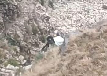 जिला सिरमौर की नौहराधार तहसील के चाढ़ना  में  स्विफ्ट कार  दुर्घटनाग्रस्त, दो लोगों की मौत  चालक घायल