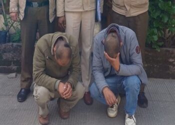 शिमला में चरस तस्करी का भंडाफोड़: डिलीवरी देने आए थे शिमला… पुलिस ने रास्ते में ही दबोचे