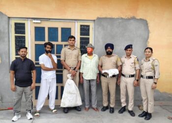 अफीम के 25 पौधों व 1.106 किलो चूरा पोस्त के साथ आरोपी गिरफ्तार