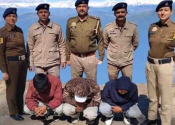 शिमला पुलिस की बड़ी कार्रवाई,नारकंडा में 9 किलो अफीम और 12 लाख कैश के साथ 3 नेपाली तस्कर गिरफ्तार