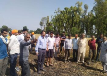 पांवटा साहिब में भड़की आग ने उजाड़ी गेहू की फसल, किसानों की महीनों की मेहनत खाक