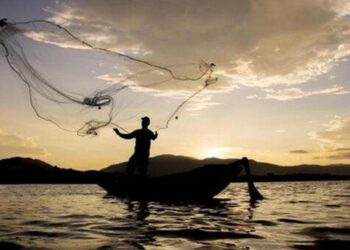 Shimla: मुख्यमंत्री सुक्खू ने दी मछुआरों को बड़ी सौगात, पहली बार लागू हुआ MSP