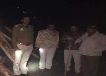 Himachal :वन विभाग की टीम पर हमला, अवैध लकड़ी जब्त करने पर हुआ पथराव; सरकारी गाड़ी क्षतिग्रस्त