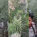 BREAKING: हिमाचल प्रदेश में गहरी खाई में गिरी गाड़ी, अब तक 2 शव बरामद, और लोगों की तलाश