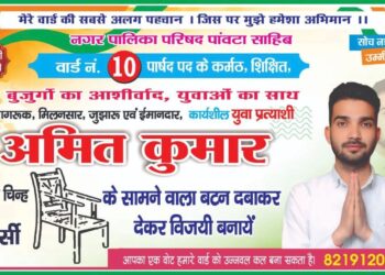 नगर परिषद चुनाव 2026: वार्ड नंबर 10 में युवा जोश, अनुभव को चुनौती