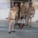 पांवटा साहिब: नाकाबंदी में कार से 264 नशीले कैप्सूल बरामद, एक गिरफ्तार