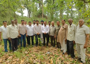 विश्व पर्यावरण दिवस पर जिला परिषद सदस्य रोहित चौधरी ने किया वृक्षारोपण, दिया हरित भविष्य का संदेश