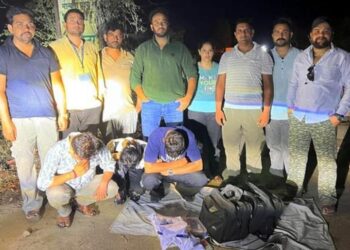 हिमाचल में चिट्टे की खेप के साथ पंजाब के 3 तस्कर गिरफ्तार, आराेपियाें में महिला भी शामिल