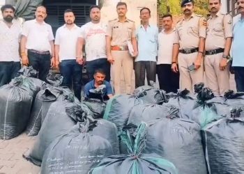 बद्दी पुलिस की बड़ी कार्रवाई, 400 किलो अफीम डोडे के साथ तस्कर गिरफ्तार