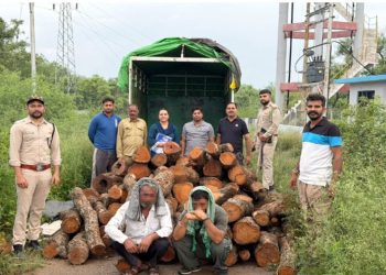 Solan: खैर की लकड़ी से लदा वाहन पकड़ा…पायलट कर रही ऑल्टो कार भी जब्त, 2 तस्कर गिरफ्तार
