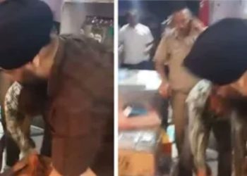 हिमाचल पुलिस और शराब ठेका कर्मियों में मारपीट, जांच के लिए पहुंची टीम पर हमला, कारोबारी बोला- नशे में थी खाकी